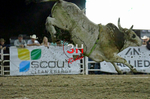 3HRodeo8-5-24_CFD_3HR-YUMA- 6124_