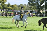 S31 - Novice & Newcomer Working Hunter Pony portfolio