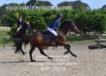 BPP_2019
