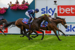 Race 5 4.10pm Sky Bet Stayers Handicap portfolio