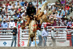 3HRodeo7-20-25_CFD_03300_