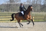 BPP_7330