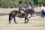 WJ7_3139