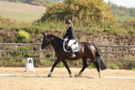 SBM_009886