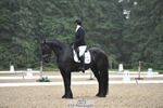 274-Paige_Beattie-Orcaber_Dark_Secret portfolio