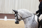 SBM_007692