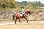 SBM_002911