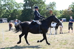 WJ6_8283