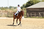 SBM_002871