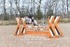 BPP_4336
