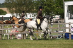 SBM_07591