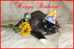 Happy Birthday!