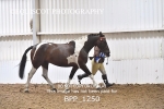 BPP_1250