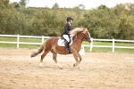 SBM_002753