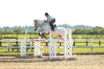 SBM_003378
