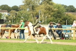 SBM_68919