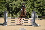 Sunday 23rd Western Counties Arena portfolio