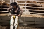 Rodeo 152