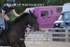 BPP_2640