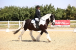 SBM_003677