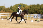 SBM_016607