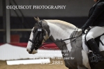 BPP_2881