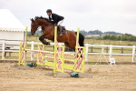 SBM_026248