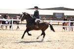 SBM_006973