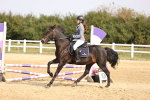 SBM_001213