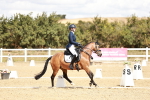 SBM_009895