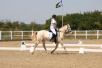 SBM_004946