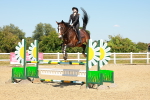 SBM_006982
