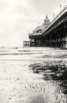Eastbourne Pier in The Shade  1904