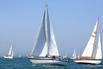190629 CAURUS GBR5516 D43A3822 2