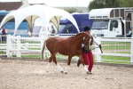 SBM_19062