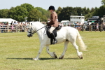SBM_07089