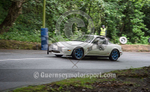 GKMC Hillclimb_29-05-2017_CAR-114