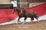JAC_5806