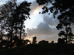 2007 - VII