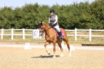 SBM_010397