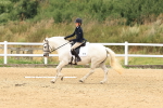 SBM_000181