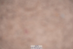 240802A-125632-04498