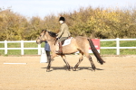 SBM_000931