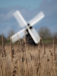 Windmill at Wicken Fen