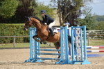 Unaffiliated Show Jumping portfolio