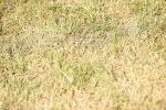SBM_18082