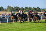 200726-Race 2-Opal Storm-6196