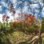 Frenzied thoughts -Fruitlands
