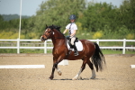SBM_008799