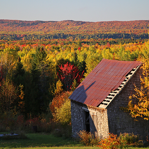 Old barn in autumn - New Brunswick Canada.